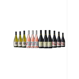 Pack de Vinos 12 botellas Hacienda San Juan