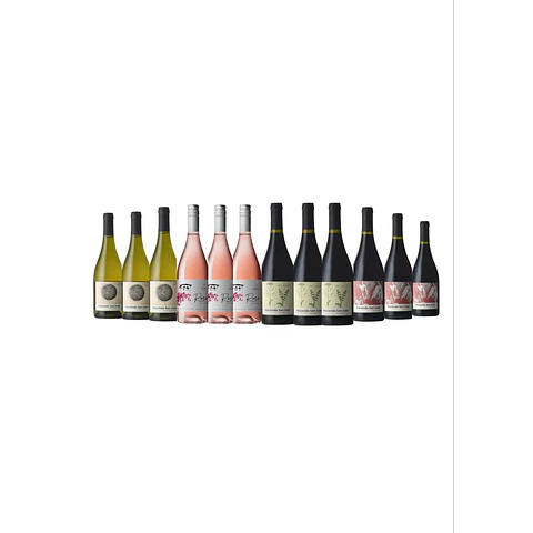 Pack de Vinos 12 botellas Hacienda San Juan
