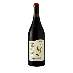 Pinot Noir Edición Magnum 2023