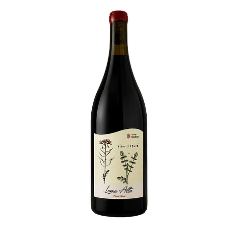 Pinot Noir Edición Magnum 2023