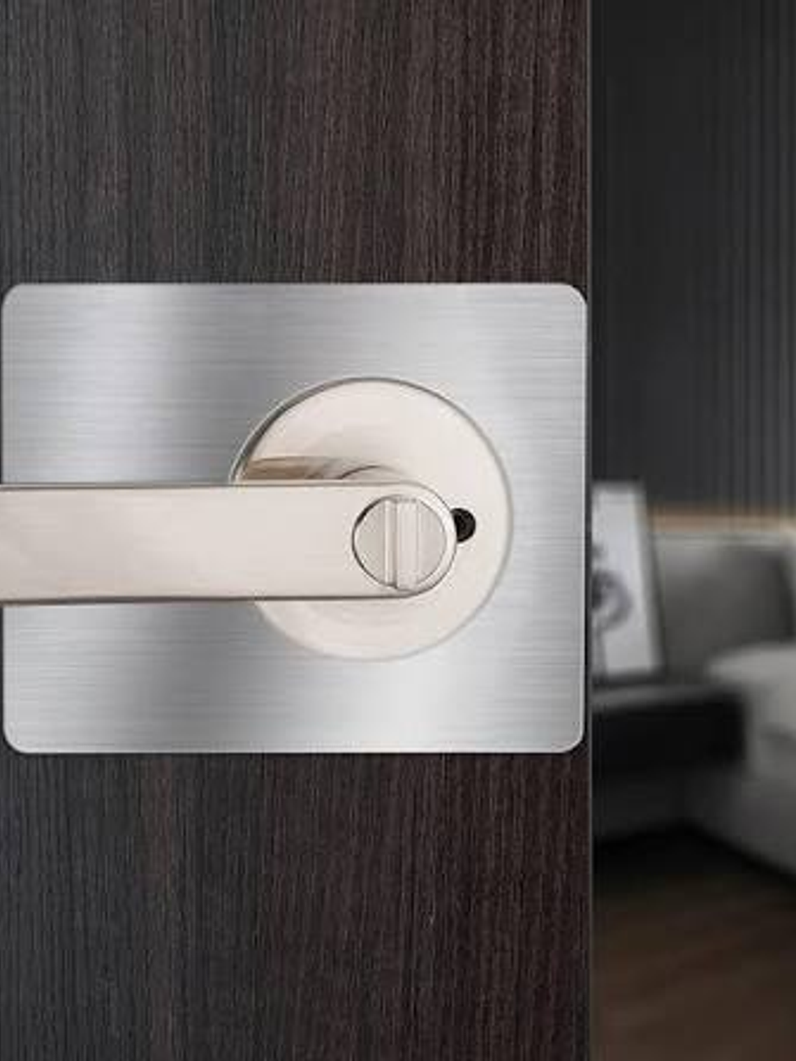 Placa reparadora de puertas 1