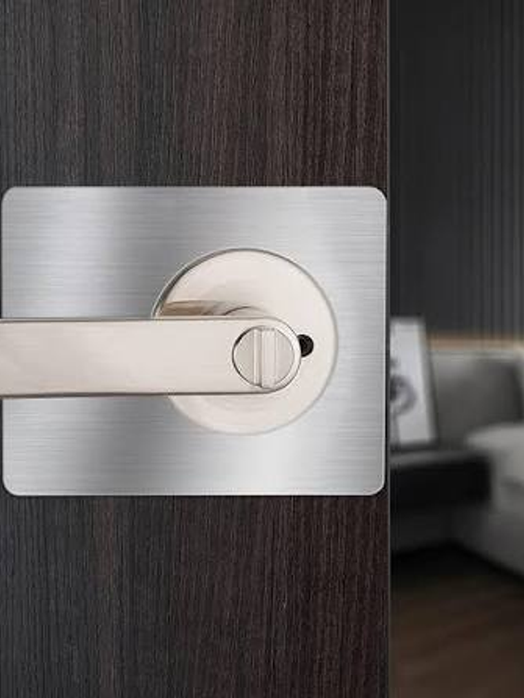 Placa reparadora de puertas 1