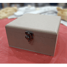 Caja con broche y bisagras 1
