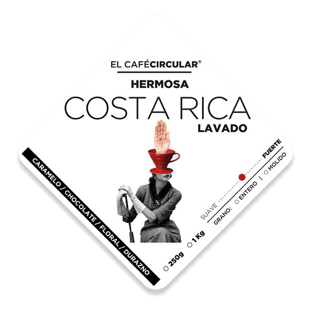 Café De Especialidad Artisan Roast Costa Rica Hermosa 250 G 1