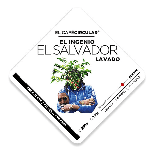 Café De Especialidad Artisan Roast Salvador El Ingenio 250 G 1