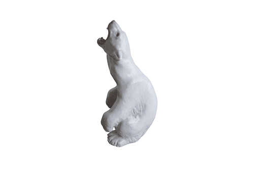 Porcelana oso polar rugiendo