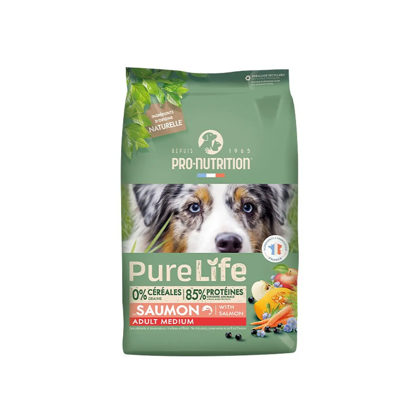 Pro Nutrition Perro Adult medium Salmon  1