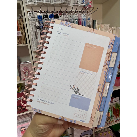 Agenda Mooving Cerezo 2027