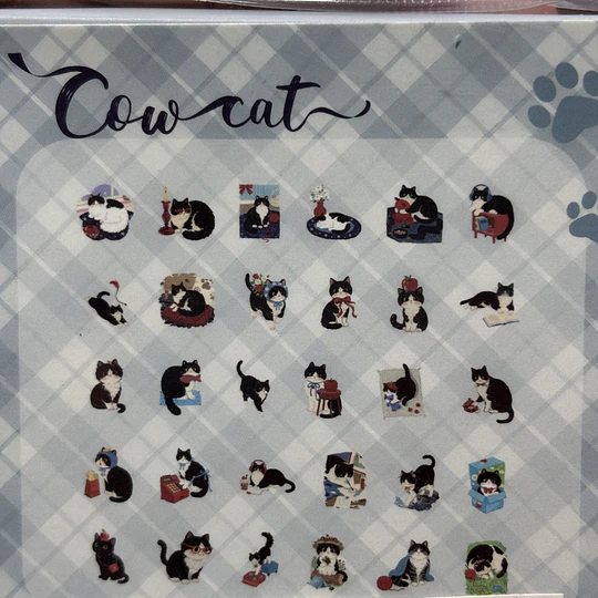 Cajita de Stickers de Gatitos