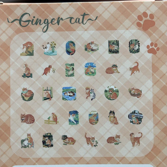 Cajita de Stickers de Gatitos