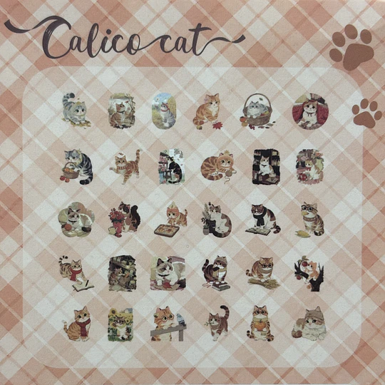 Cajita de Stickers de Gatitos
