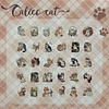 Cajita de Stickers de Gatitos