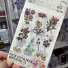 Set de stickers de papel