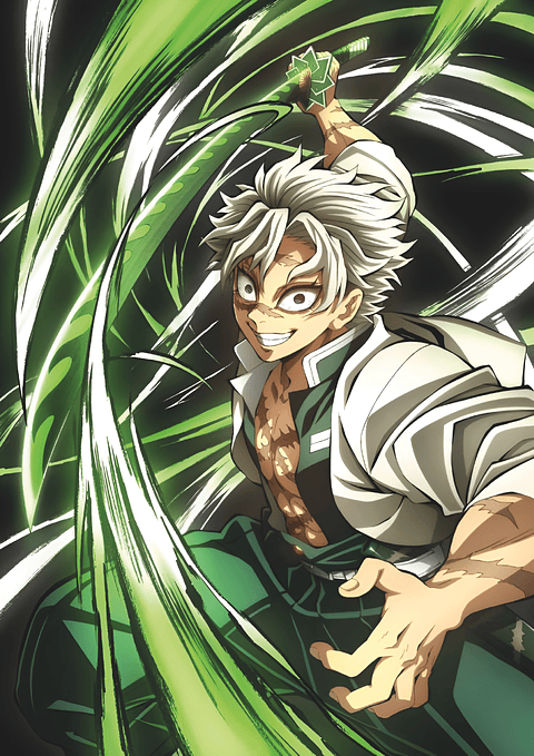 Cuadro Anime Sanemi Shinazugawa – Pilar del Viento