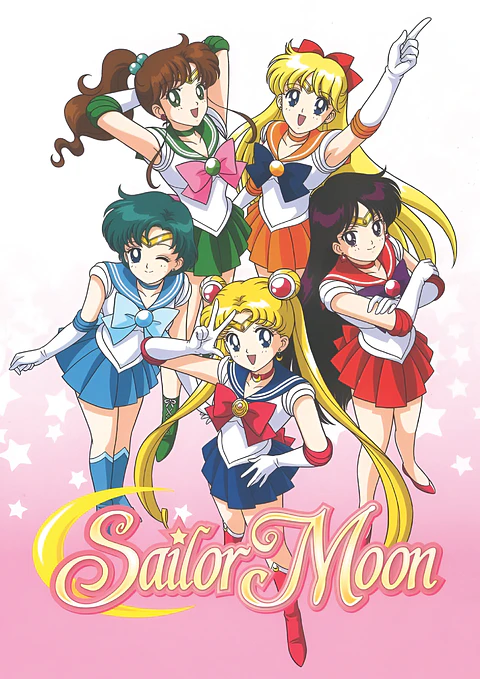 Cuadro Sailor Moon Guerreras Sailor