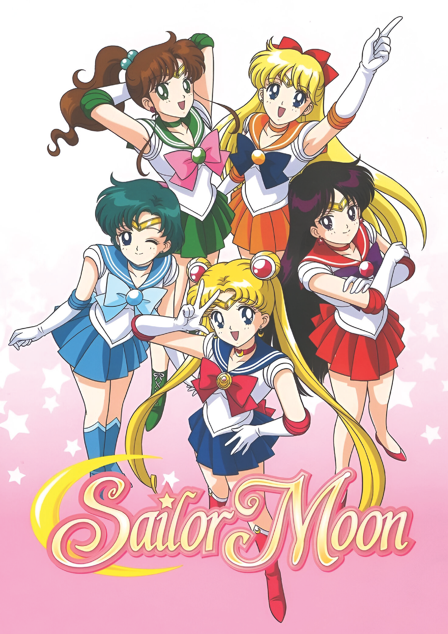 Cuadro Sailor Moon Guerreras Sailor 1
