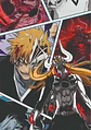 Cuadro Ichigo y Ulquiorra Bleach - Miniatura 1