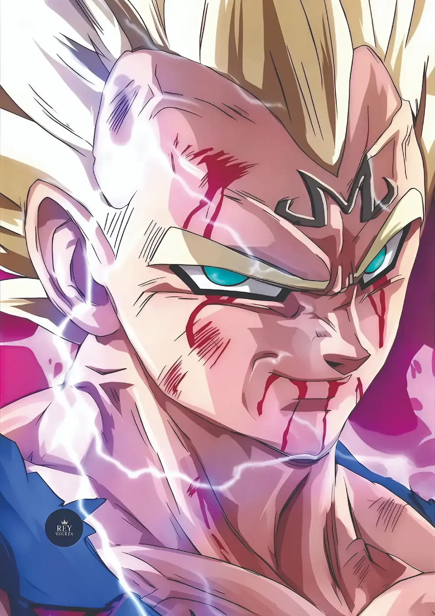 Colección de Cuadros Dragon Ball 5 | 15 Diseños para Elegir | A4 9