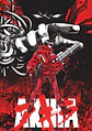 Colección de Cuadros Akira | Diseños para Elegir | A4 - Miniatura 5