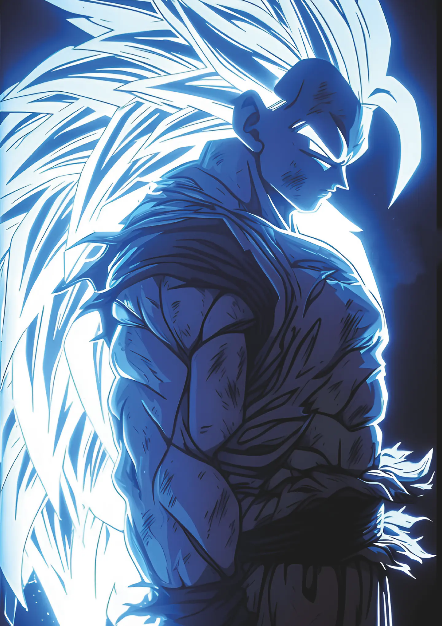 Cuadros de Goku 13