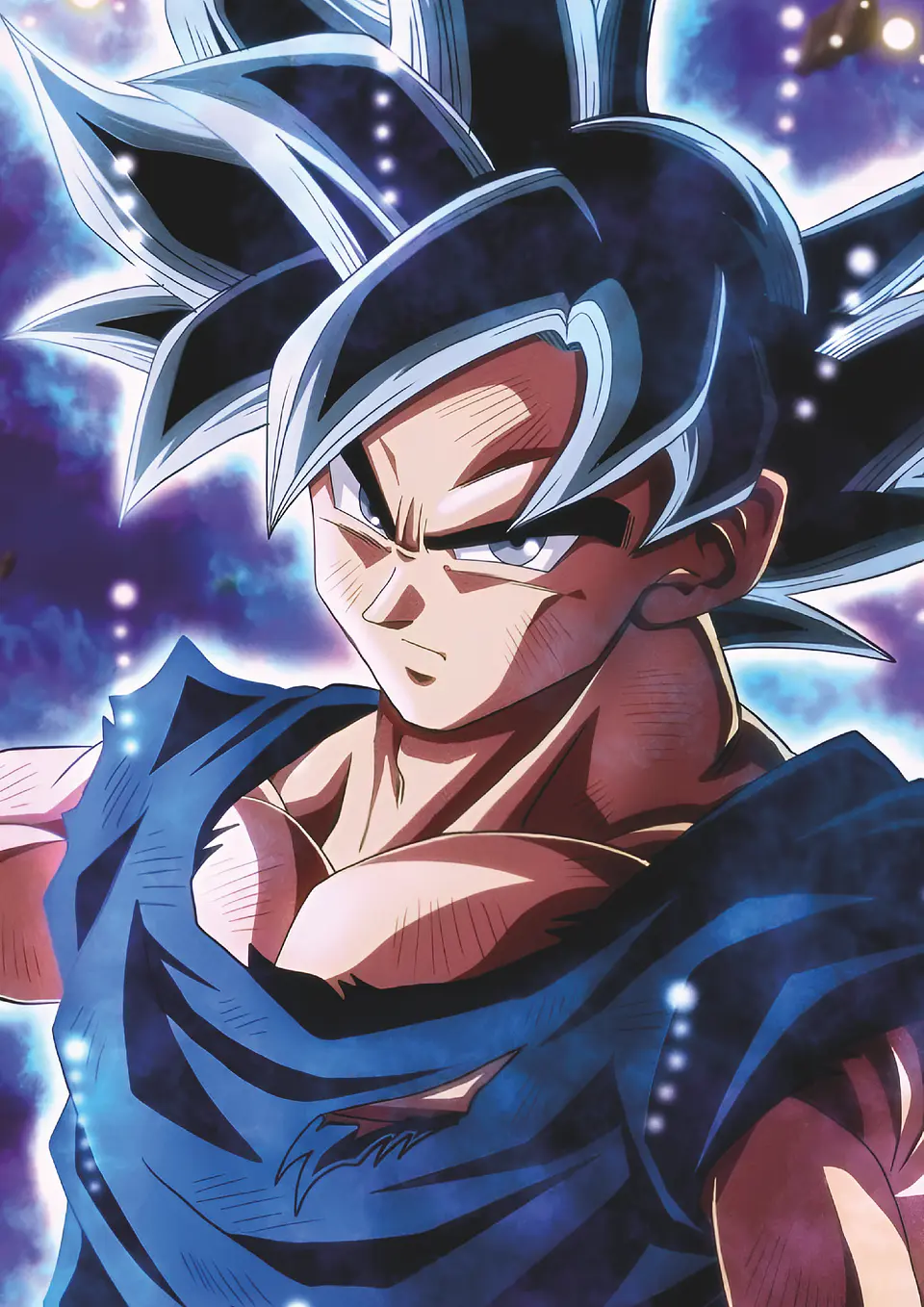 Cuadros de Goku 17