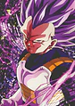 Inspirados en Vegeta - Miniatura 14