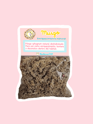 Sobre de textura Musgo Sphagnum