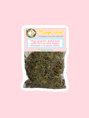 Sobre de textura Musgo verde