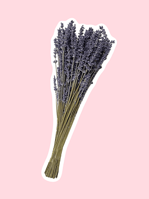 Ramo de flores de lavanda