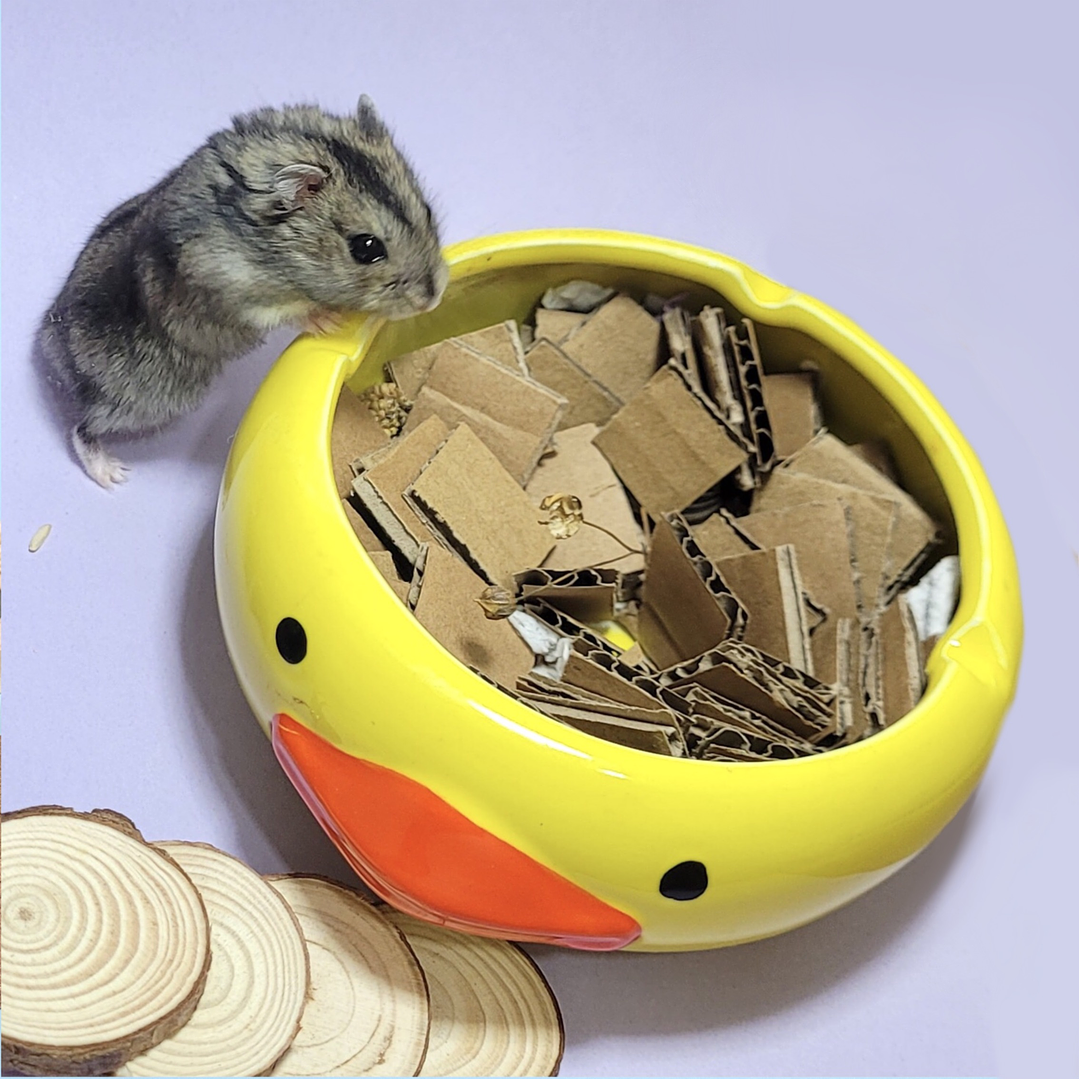 Picscina olfativa cerámica 5