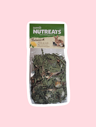 Botanics Diente de León 50grs