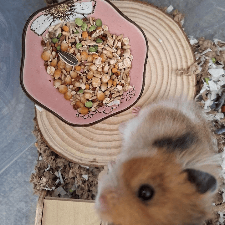 Superficie de rodaja madera de pino 3