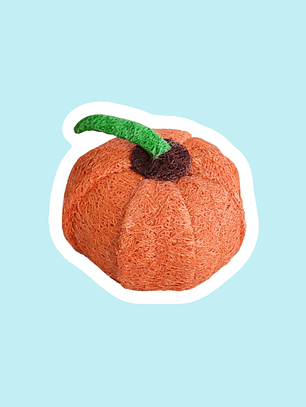 Calabaza de luffa