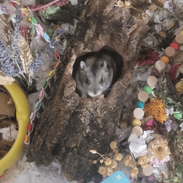 Túnel tronco de resina  3