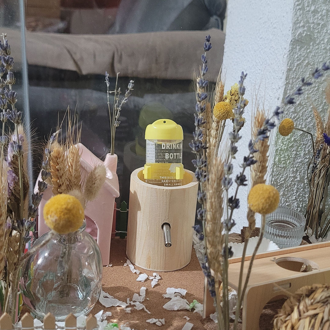 Ramo flores craspedia 2