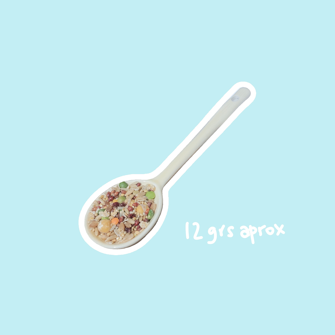 Cucharita para mix de semillas 3