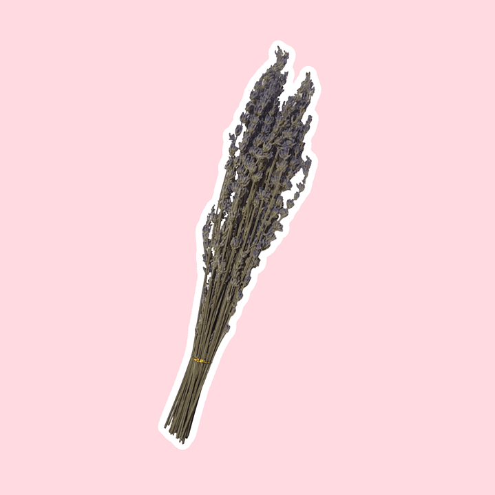 Ramo de flores de lavanda 2