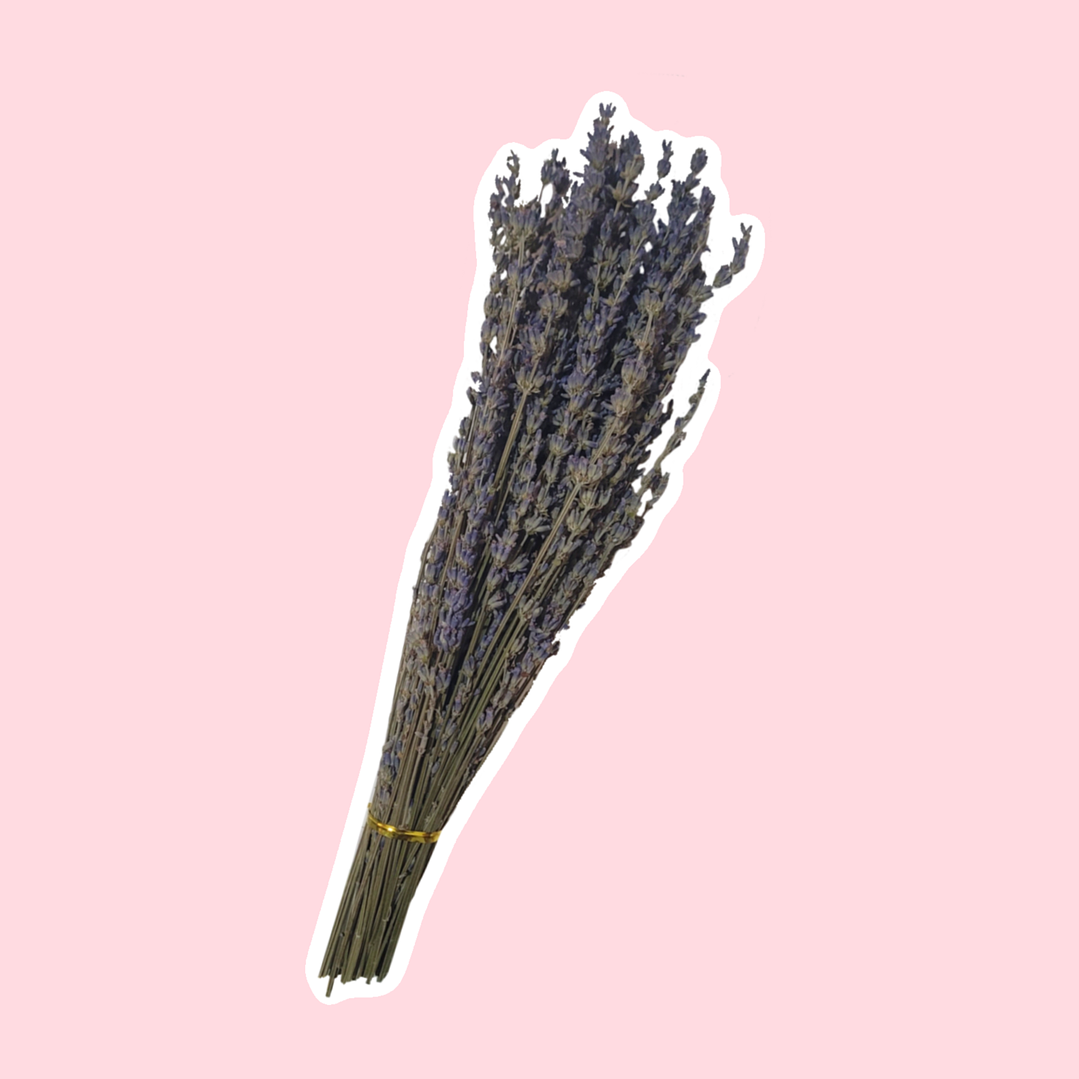 Ramo de flores de lavanda 1