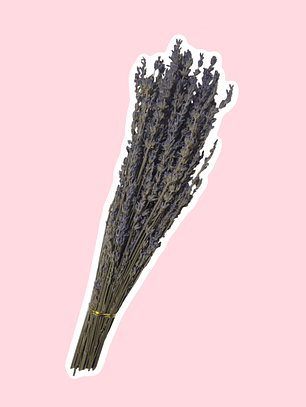 Ramo de flores de lavanda