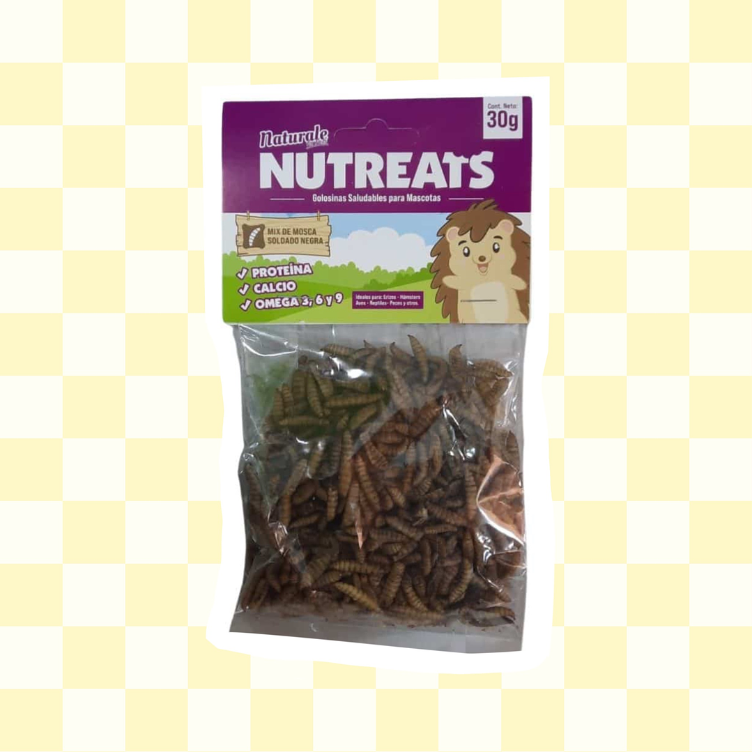 Larvas de Mosca Soldado deshidratadas 30 grs 1