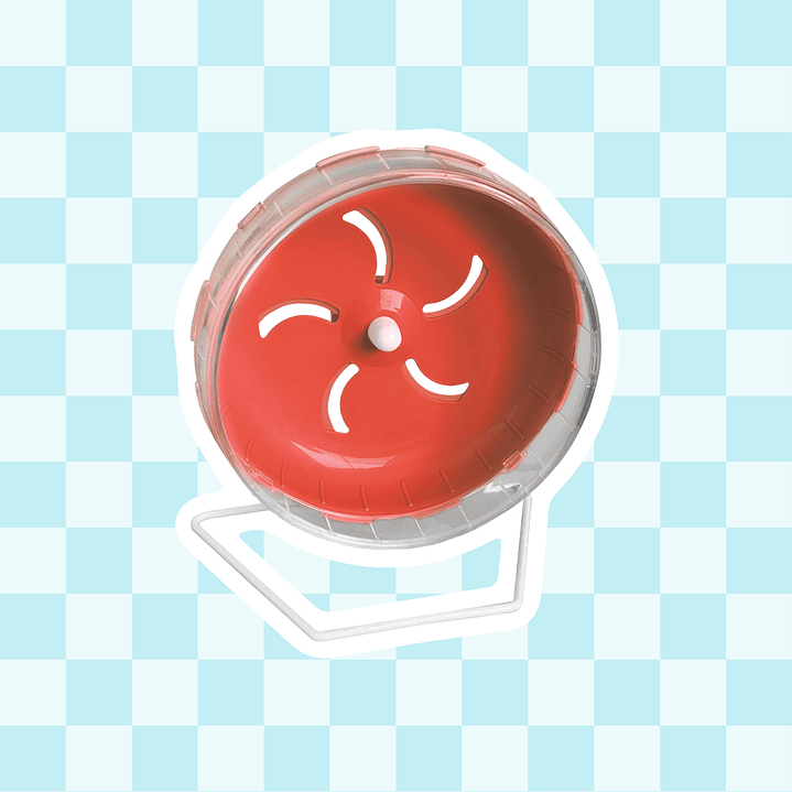 Rueda Silenciosa 21 cm 4