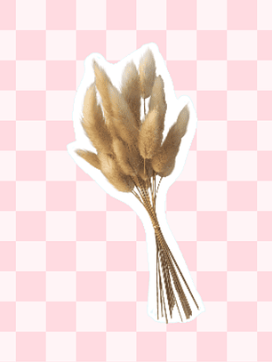 Colas de Conejo 20 varas aprox