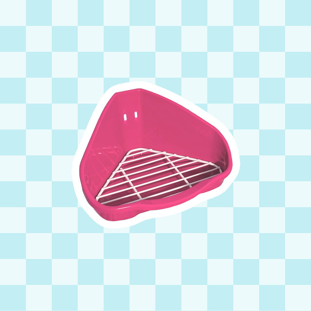 Letrina o esquinero 2