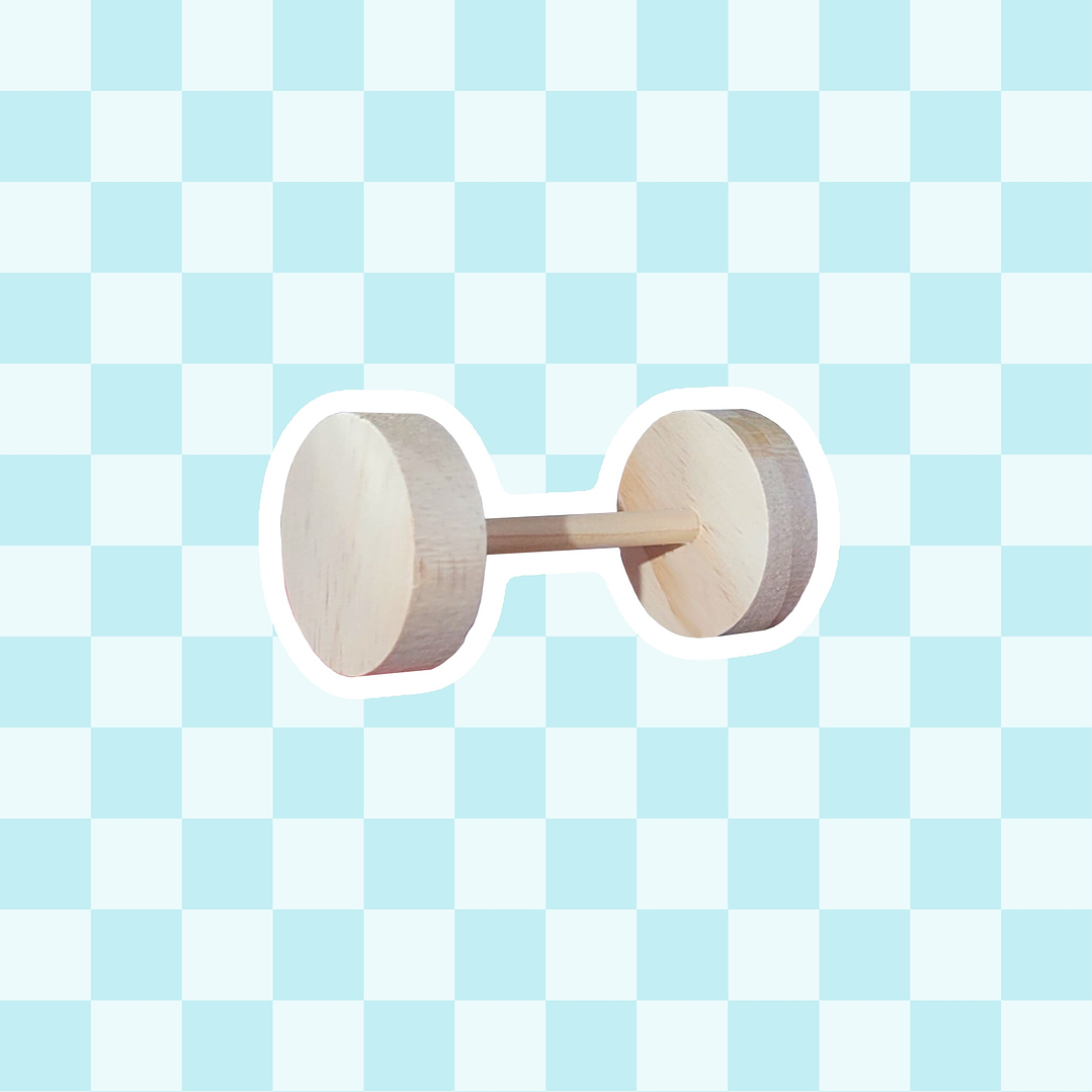 Mancuerna de juguete 1