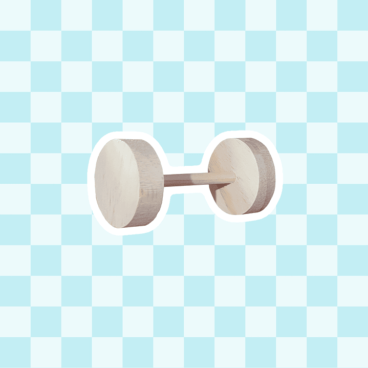 Mancuerna de juguete 1