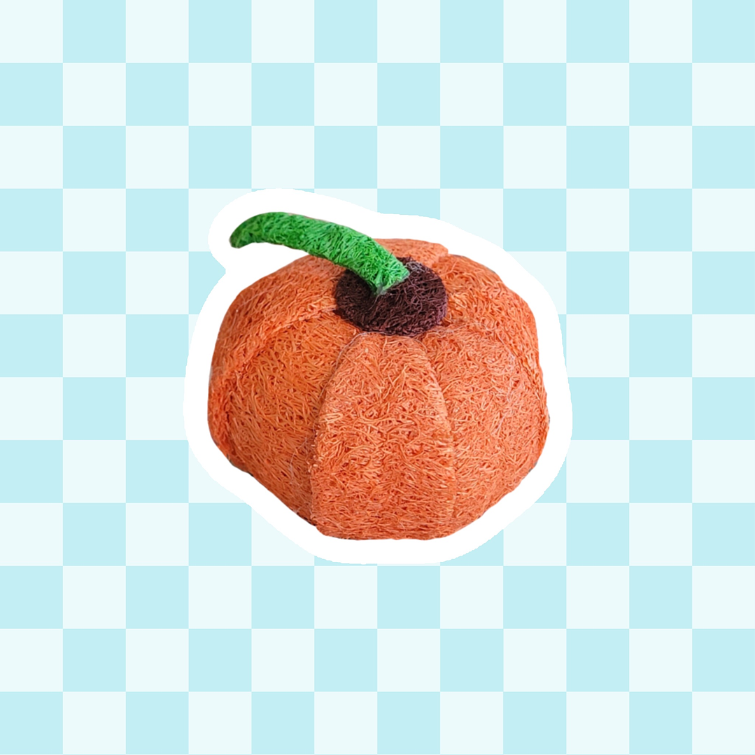 Calabaza de luffa 1