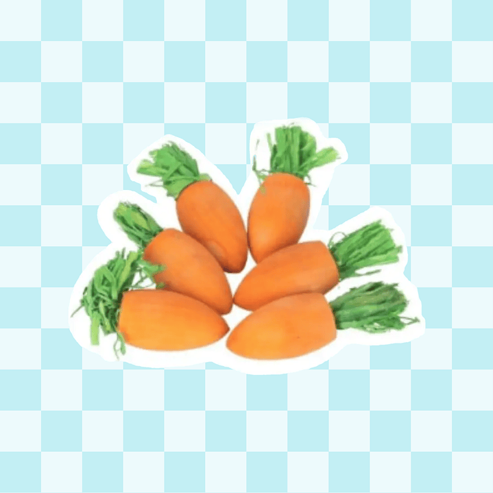 Zanahorias madera 2