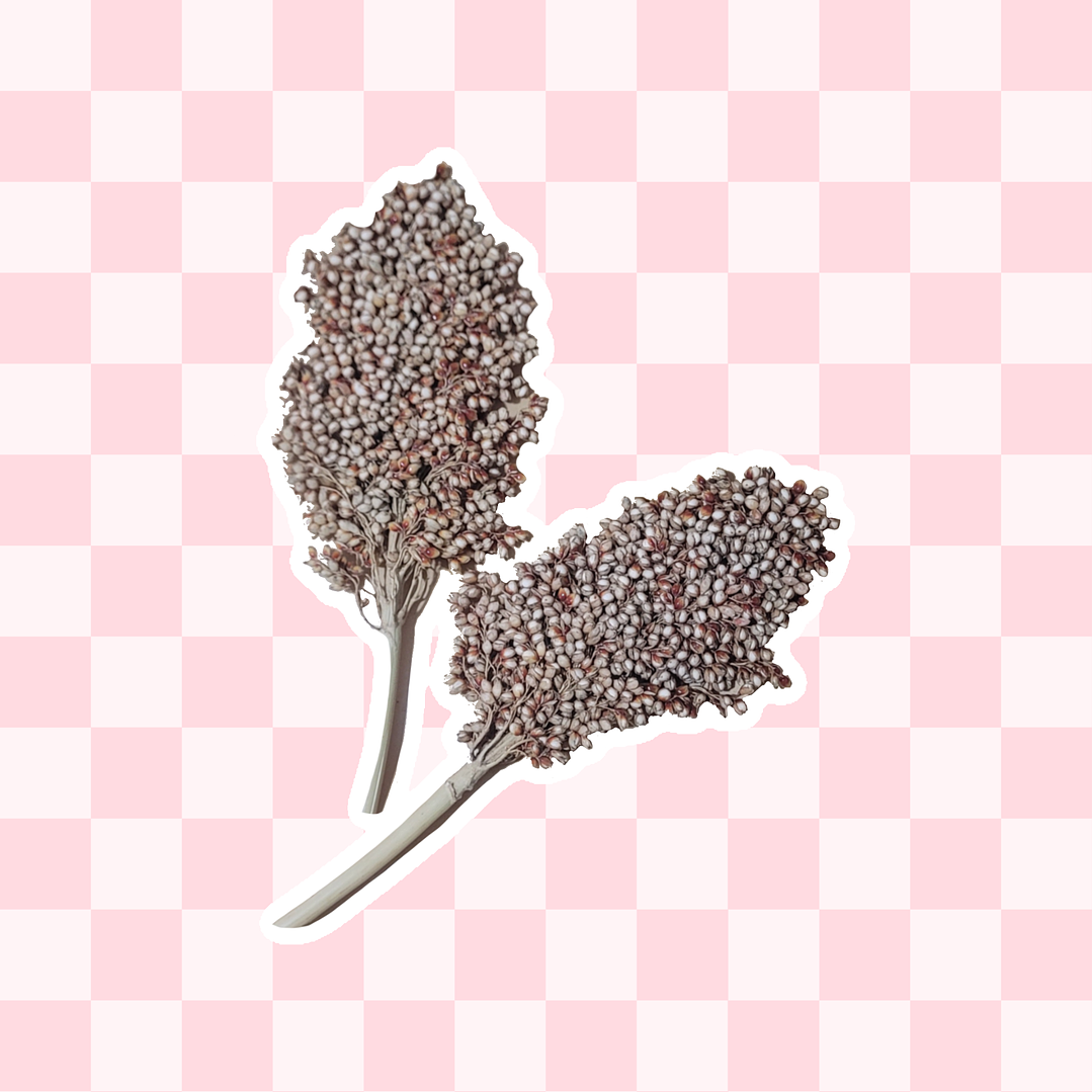 Ramas sorgo plateado 1