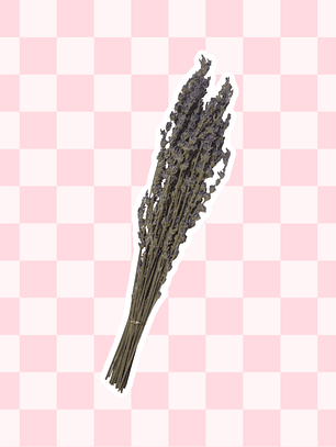 Ramo de flores de lavanda