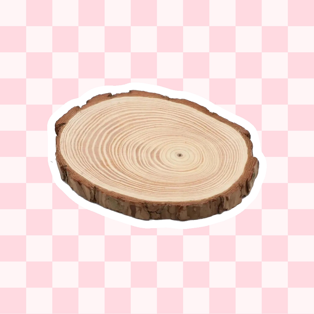 Superficie de rodaja madera de pino 1